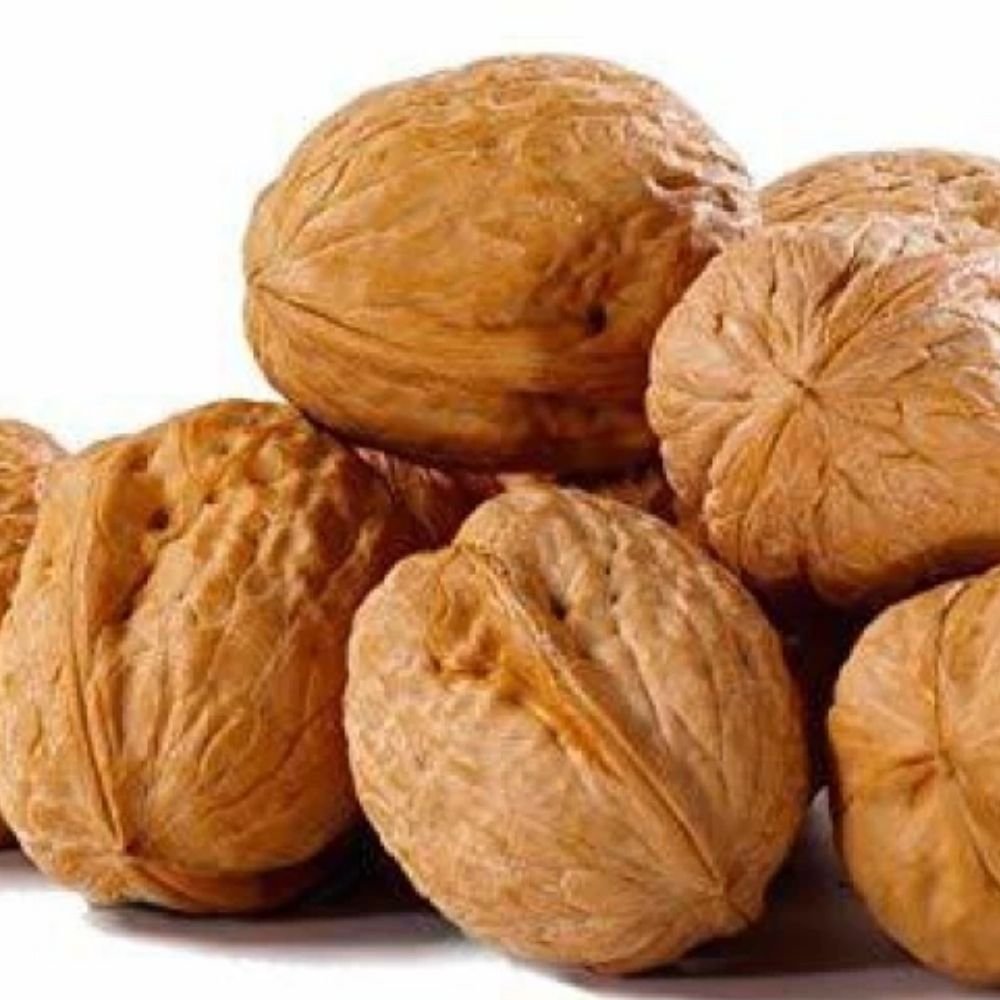 Walnut In Shell