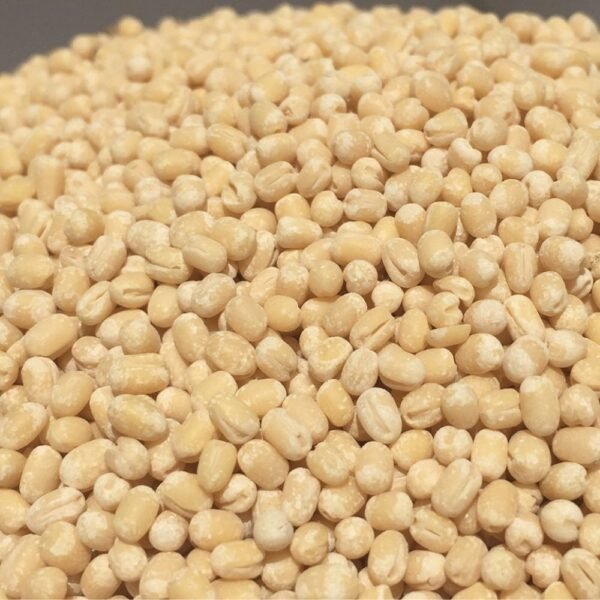 Urad Dal Whole