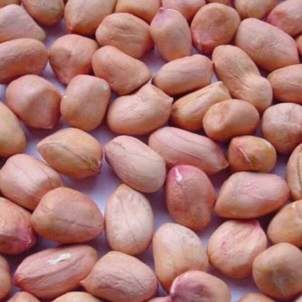 Groundnuts