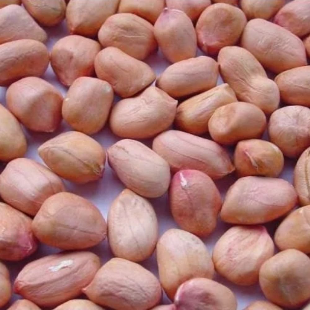 Groundnuts