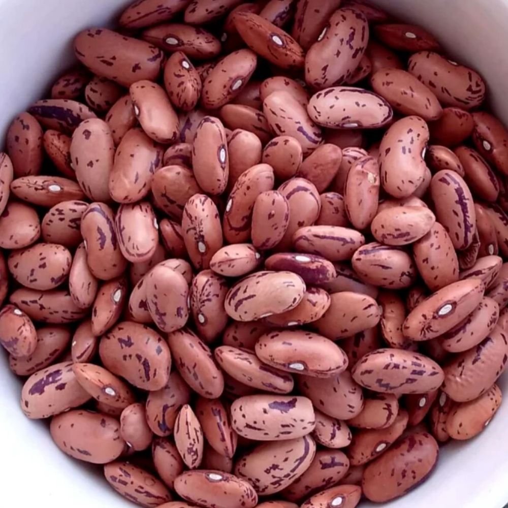 Rajma