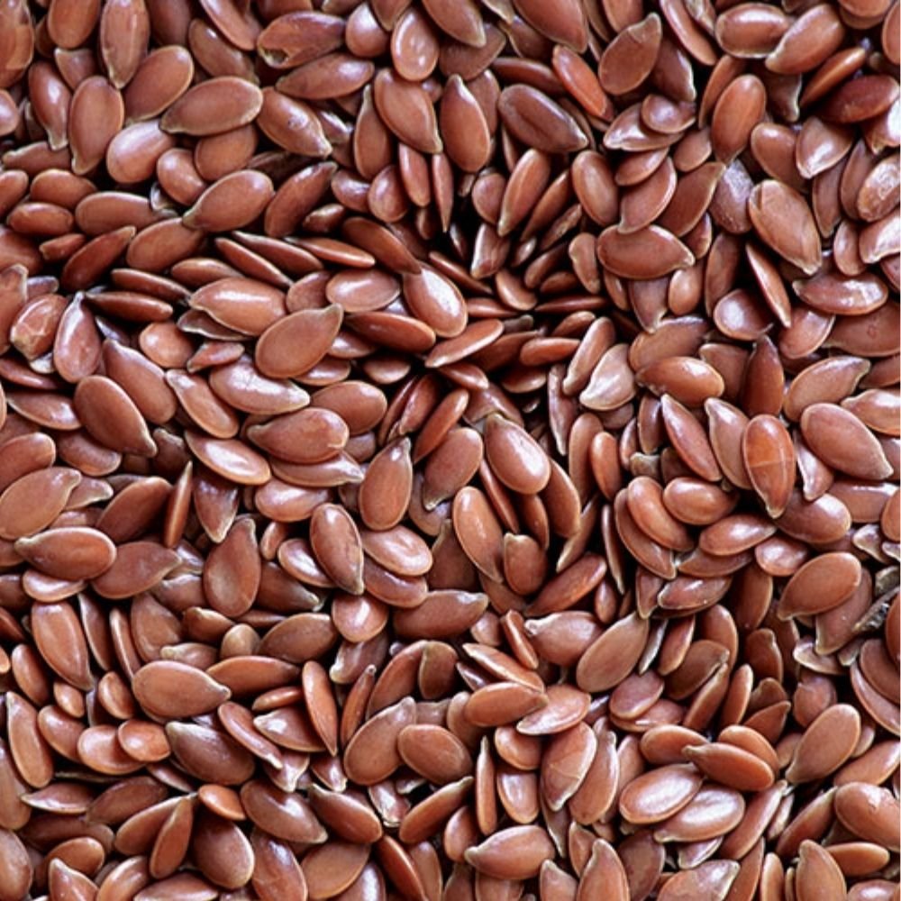 Flax Seeds