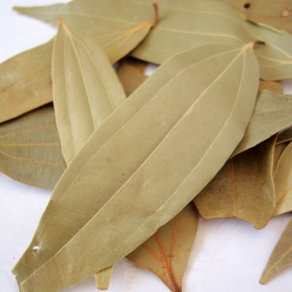 Biryani Leaf