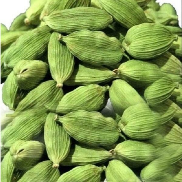 Elachi
