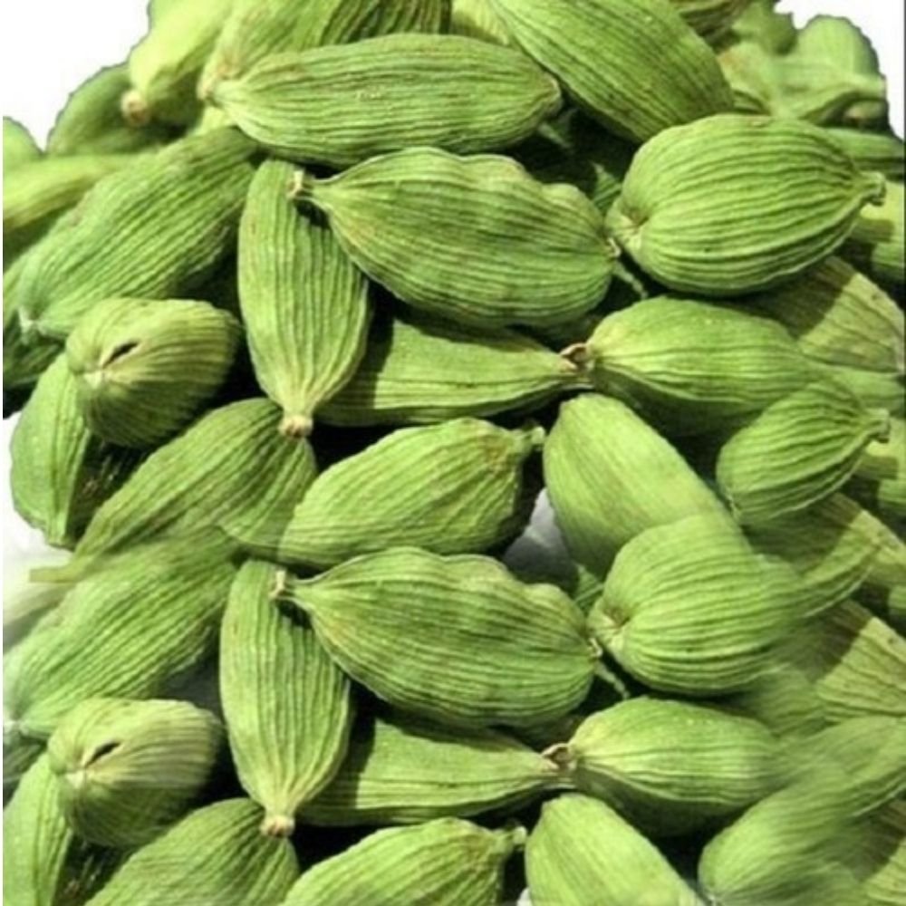 Elachi