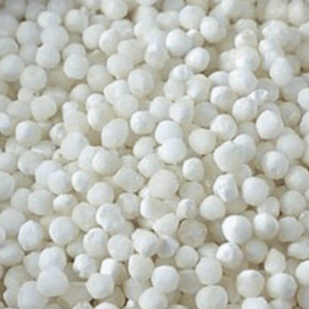 Sago Biyam