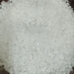 Sago Small