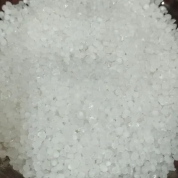 Sago Small