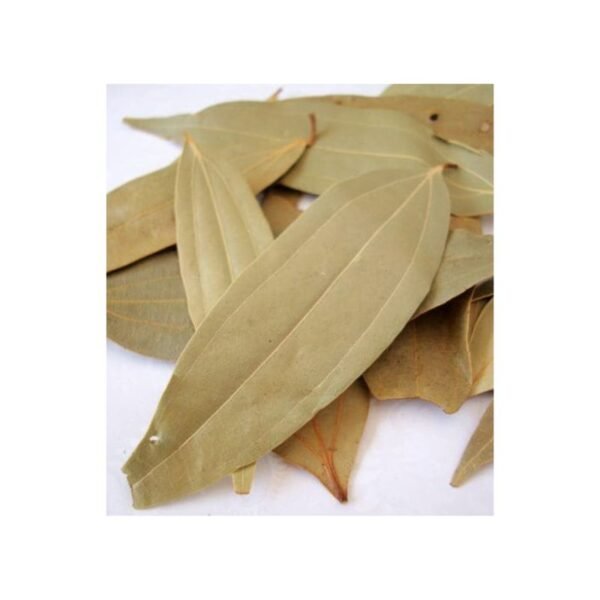 Biryani Leaf