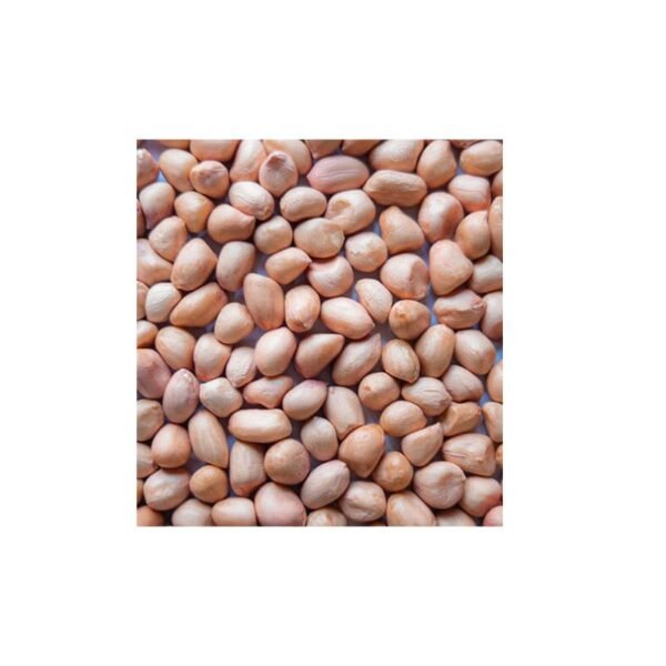 Verusenaga (Ground Nuts)