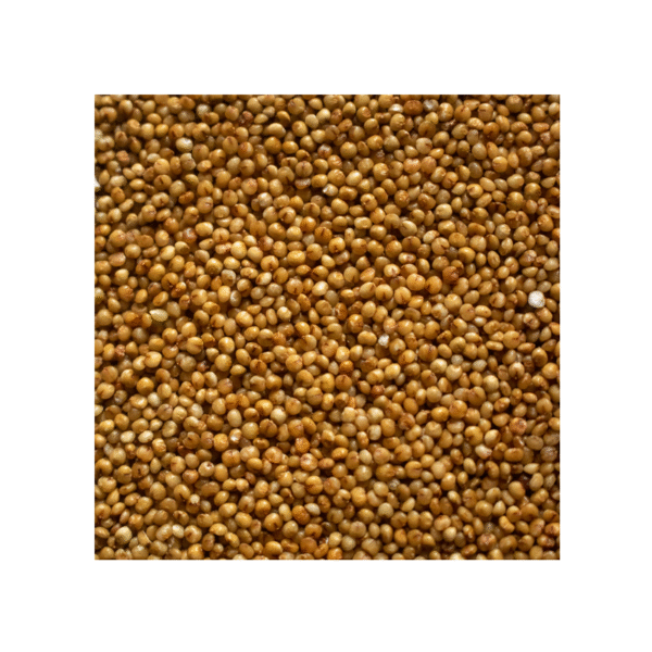 Arikelu (Kodo Millets) 1Kg