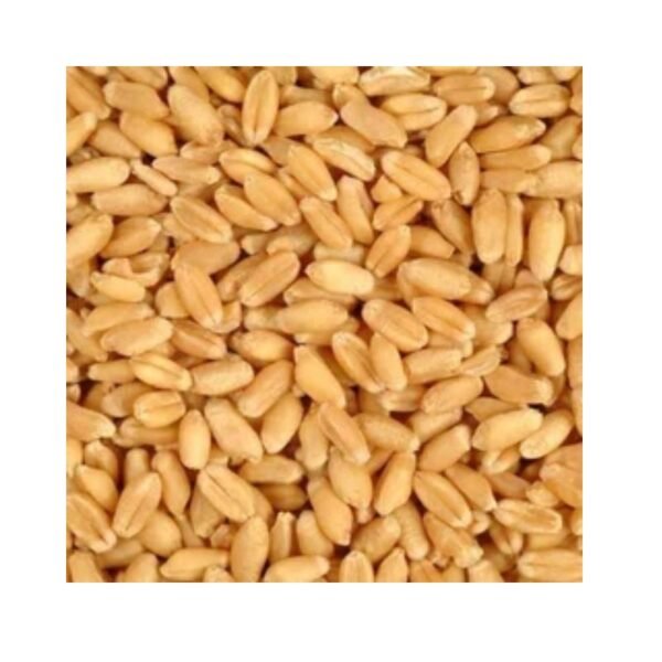 Godumalu (Wheat) 1 Kg