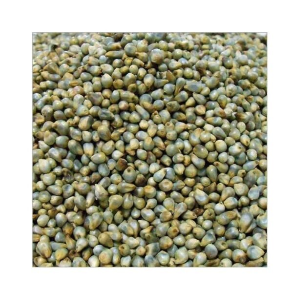 Sajjalu (Bajra) 1Kg