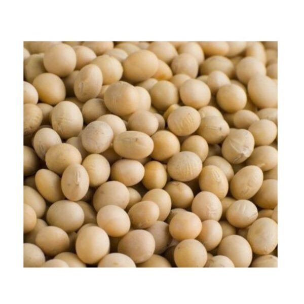 Soya Beans